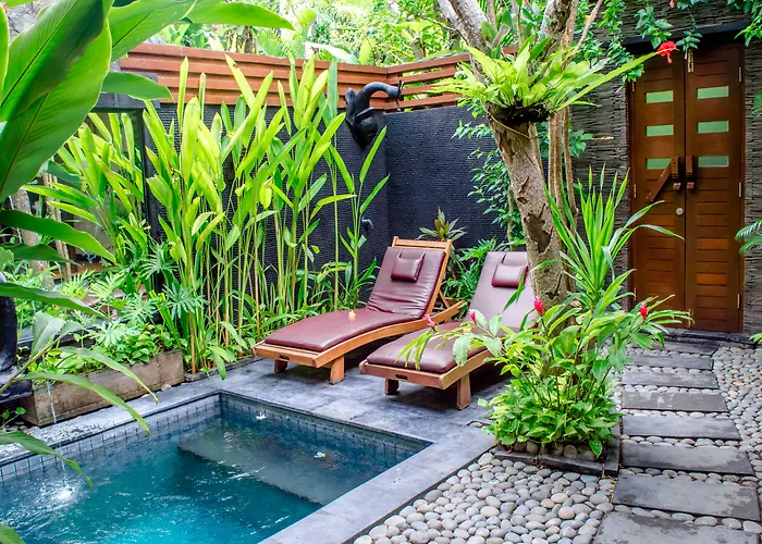 The Bali Dream * Seminyak