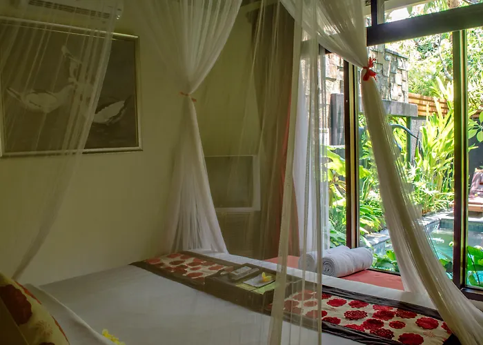 The Bali Dream