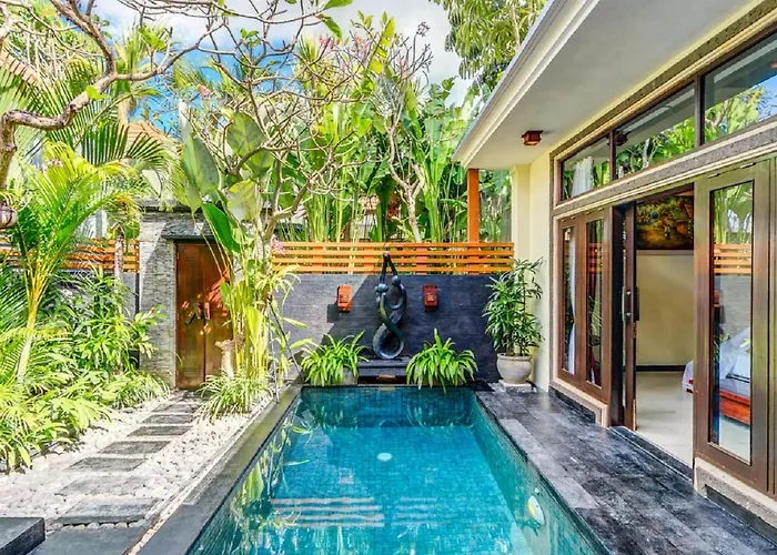 The Bali Dream *